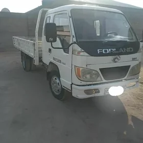 Forland H2 2011