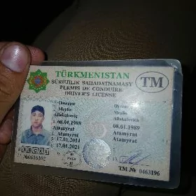 Prawa tapdym