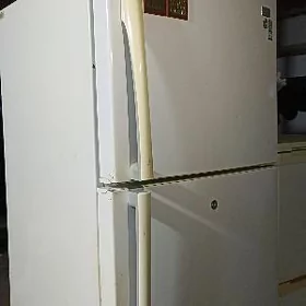 LG HOLODINIK