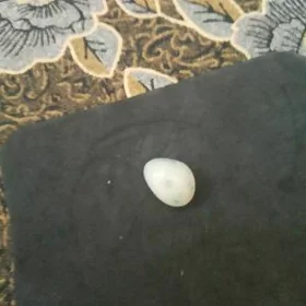 al monjuk gadymy