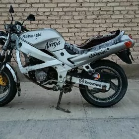 Fekon FK150-8G 2024
