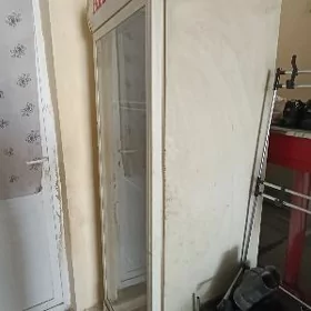 virilni haladinlik