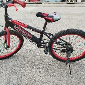 тигир