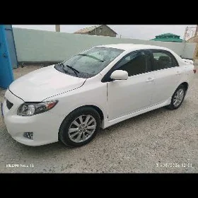 Toyota Corolla 2010