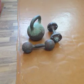Sport enjamlar