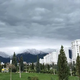 Сдам комнату