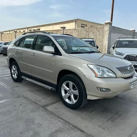 Lexus RX 330 2004