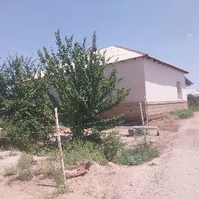 satlyk jaý