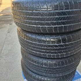 SAÝLUN TEKER 225/65/17