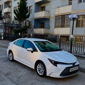 Toyota Corolla 2023
