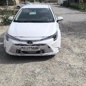 Toyota Corolla 2024