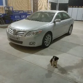 Toyota Camry 2010