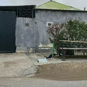 çoganly