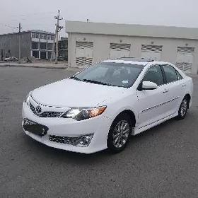 Toyota Camry 2013