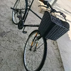 Welsopet welik tigir 27