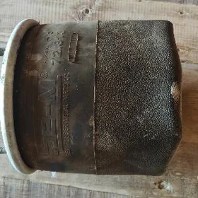 paduşk pnevma