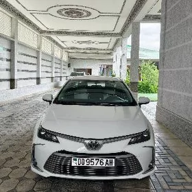 Toyota Corolla 2021