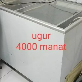 marazinik ugur