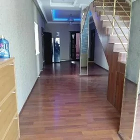 Черёмушки