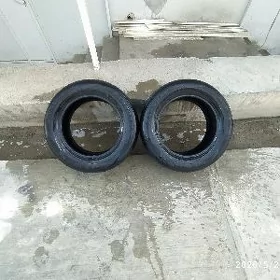teker farroad