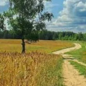 сатлык ер