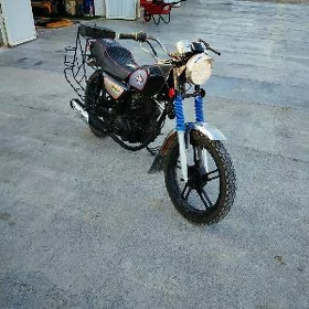 Fekon FK150-8G 2013