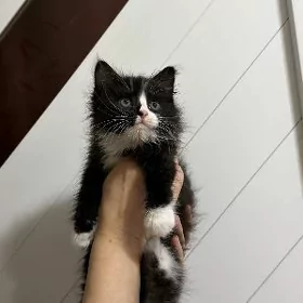 мальчик 1.5 месяцев
