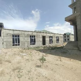 Anew katež