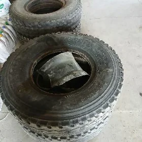 Zil Teker 10lyk