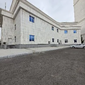 Здание по Подвойского