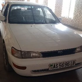 Toyota Corolla 1995