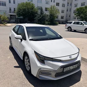 Toyota Corolla 2022