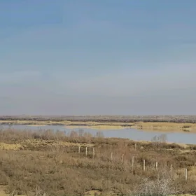 Prud satlyk