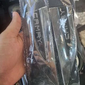 camry emblema