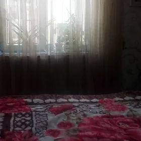 30 Мкр от хозяина