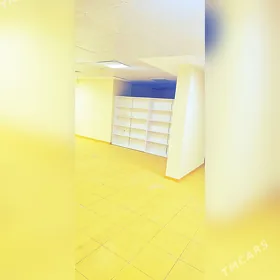 moskowski koce arenda yer