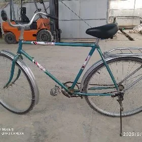 Tigir ural
