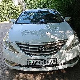 Hyundai Sonata 2010