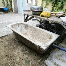 Çoýun wanna