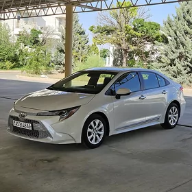 Toyota Corolla 2020