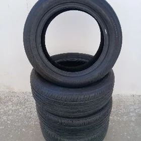 205/55R16 zextour.centara