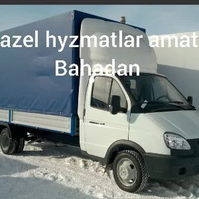 gazel