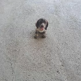 Awcy it