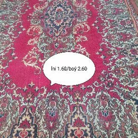 Haly Rusya.1.60/2.60