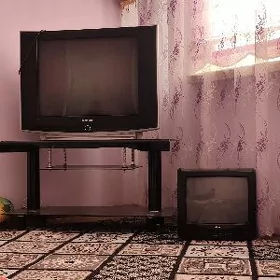 telvizir zapcas ucn