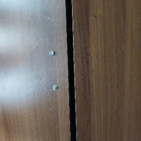 şkaw yuk salynyan