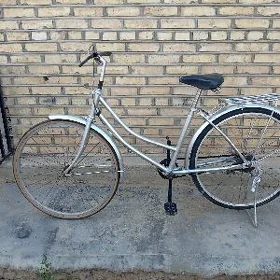 26 lyk tigir