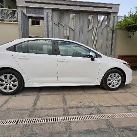 Toyota Corolla 2024