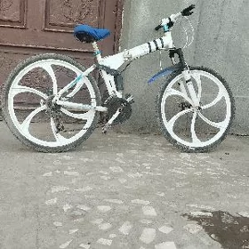 BMW welisepet