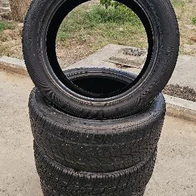 Roadian HP Nexen pakrişka